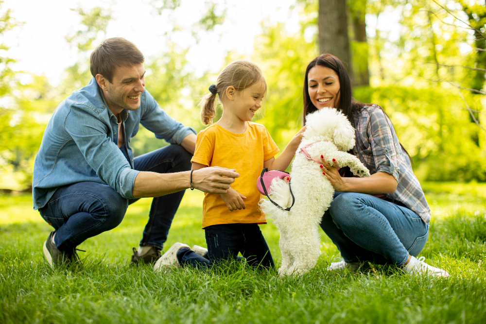 Top 10 rase de câini ideale pentru familii active